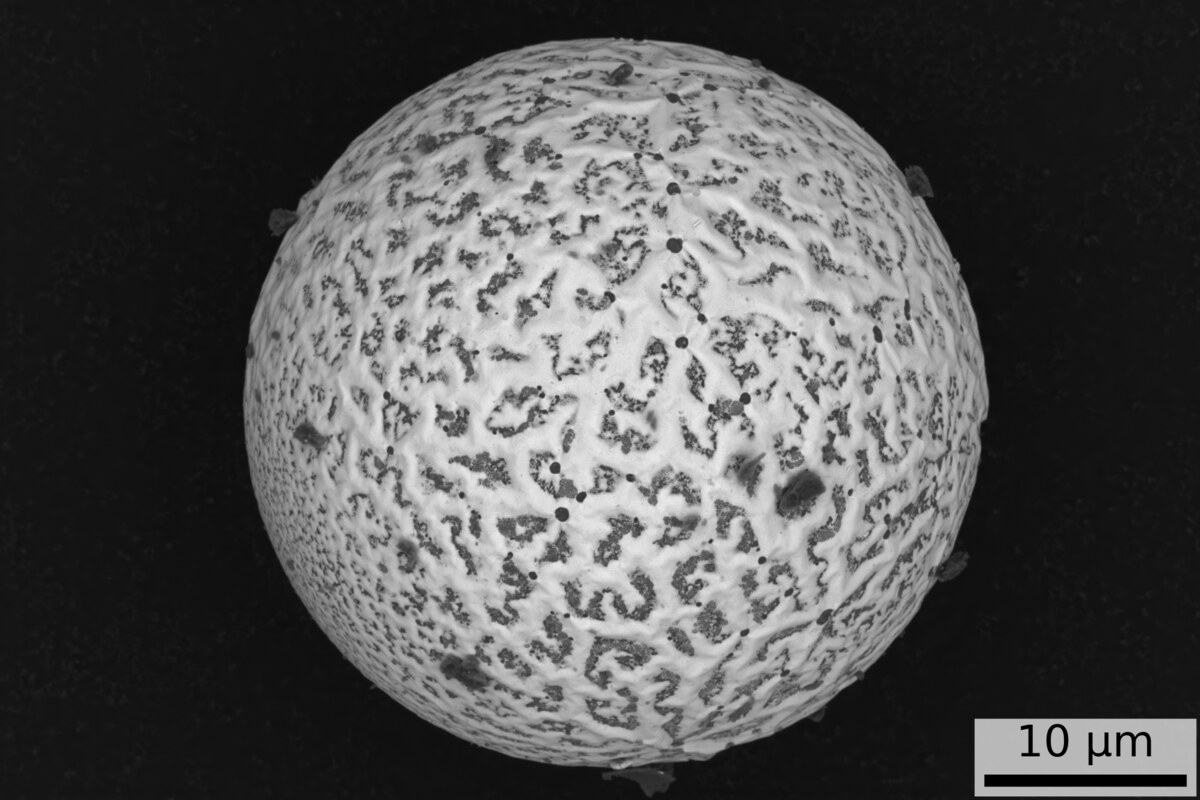 Molten Planets — ultrasonically atomized Al alloy powder particles with core–shell morphology formed by liquid-phase separation during cooling. BSE SEM, Helios FIB-SEM, 10 µm.