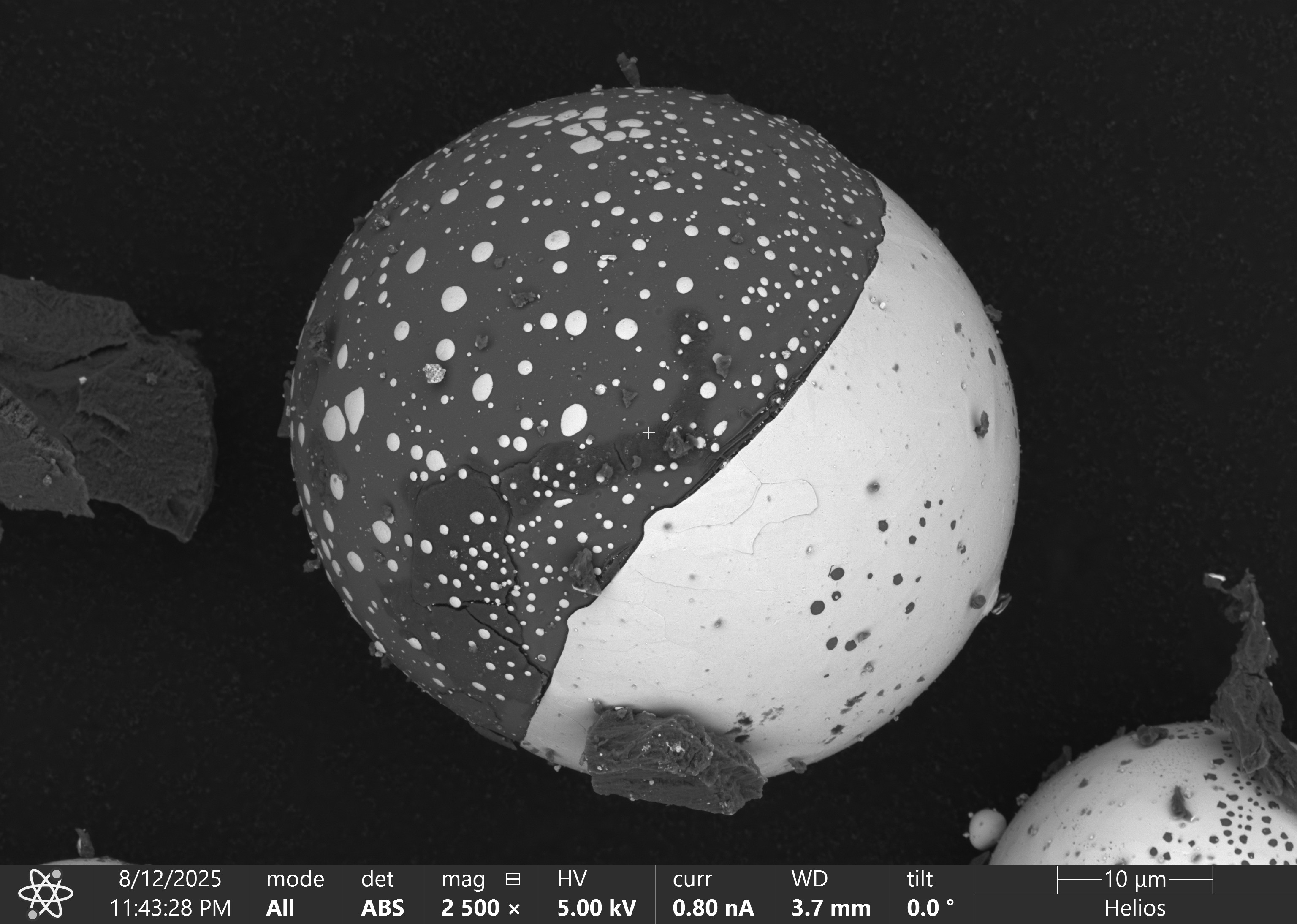 Yin and Yang — BSE cross-section of an ultrasonically atomized Al-based alloy powder particle revealing a two-phase core–shell microstructure driven by Marangoni flow during solidification.